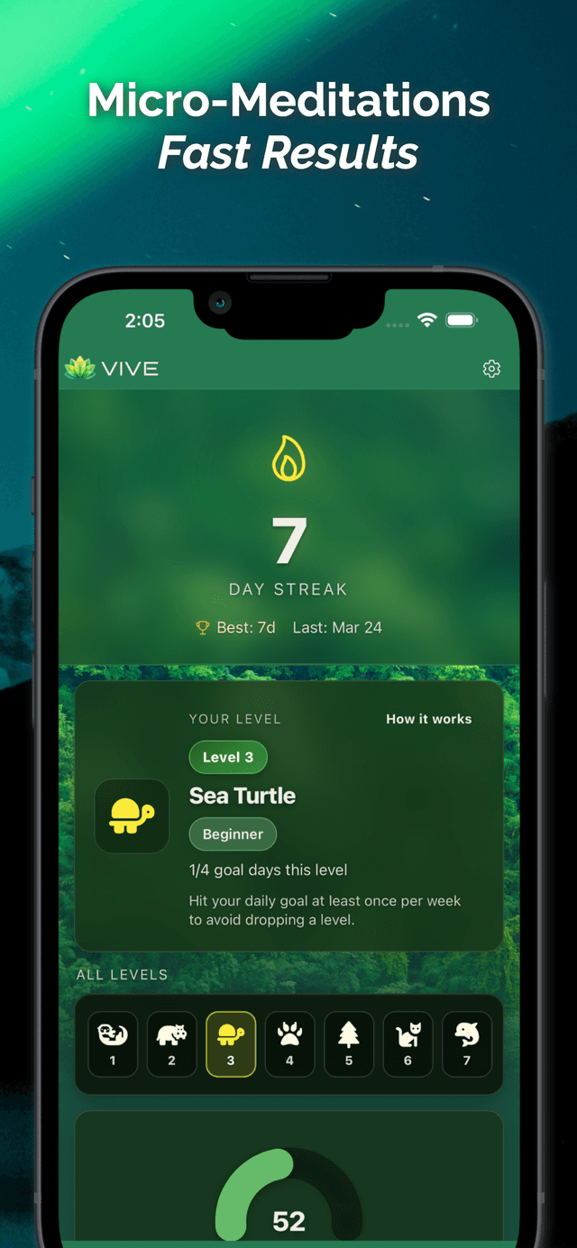 Micro-meditations - streak tracking and level progression